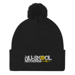Pom Pom Knit Cap